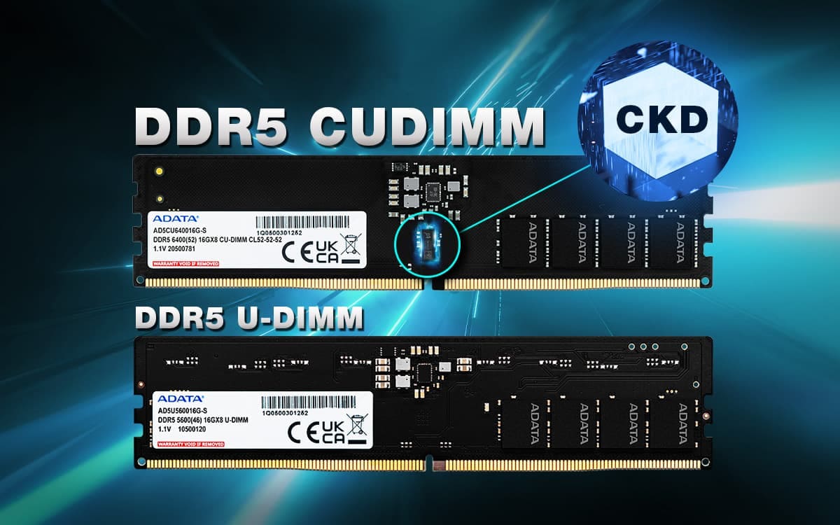 DDR5 メモリの将来の動向：UDIMM、RDIMM、CUDIMM | ADATA (Japan)